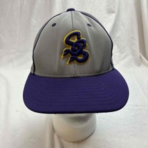 Richardson Unisex Adult Arizona Diamondbacks Hat Cap Gray Purple Fitted LG XL - $11.88