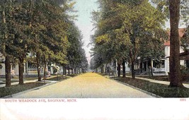 South Weadock Avenue Saginaw Michigan 1905c postcard - $7.87