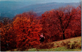 Autumn in the Ozarks Missouri Postcard - $5.16