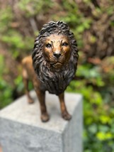 Majestic Lion – Bronze Sculpture. 42x12x26cm - 3.4Kg - $9,185.09 MXN