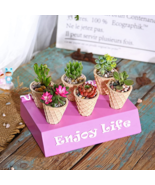 NEW 6 Pcs 2 inch Ice Cream Cone Small Succulent pots Cute Cactus planter... - £19.01 GBP