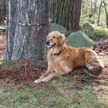 Snap Around 2 Piece Dog Tree Tie Out Tether Cable Secure System Hold Up ... - $19.69