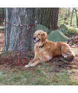 Snap Around 2 Piece Dog Tree Tie Out Tether Cable Secure System Hold Up ... - £15.57 GBP