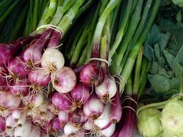 Fresh Scarlet Bandit Bunching Onion Seeds Red Bunching Scallions - $4.00