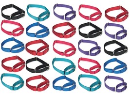 25 Martingale Dog Collar Bulk Packs Shelter Rescue Vet Assorted Colors Pick Size - £116.77 GBP+