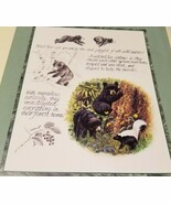 Black Bear Cub Study Michelle Mara Art Print 8x10 - $108.01 MXN