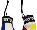 Honduras and Philippines Mini Boxing Gloves - $5.94