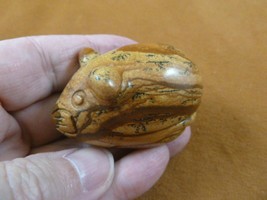(Y-MOU-706) little tan Jasper Mouse gemstone carving plump Roly Poly hou... - $17.53