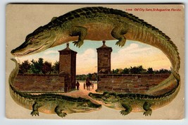 Alligator Border Florida Postcard St Augustine Old City Gate Three Gators 1912 - £51.82 GBP