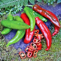 100+Anaheim Chili Pepper Seeds Organic Heirloom Vegetable From US - £7.26 GBP