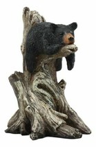 Ebros Lazy Days Of Summer Black Bear Sleeping On Tree Branch Statue - £27.96 GBP