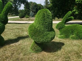 Outdoor Mushroom Topiary Green Figures covered in Artificial Grass Sculptures - £727.41 GBP