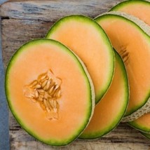 15 Seeds Hales Best Cantaloupe Fruit Summer Fresh Seeds - $6.78