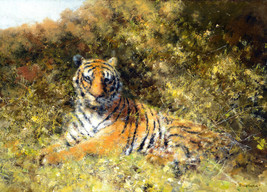 FRAMED CANVAS Art print giclee resting tiger wildlife jungle - £31.81 GBP+