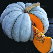 Jarrahdale Blue Pumpkin Seeds Big Winter Squash Size: 5 Seeds - $7.99