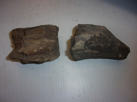 Petrified IRON Wood Natural Log Bark 2 Pieces Aquarium Terrarium Aquascape - £13.06 GBP