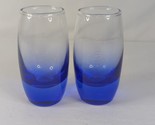Carnival Cruise Line Cobalt Blue Shot Glasses Set of 2 - $15.29