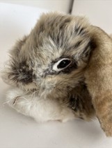 Folkmanis Holland Lop Ear Floppy Bunny Rabbit Puppet Full Body Realistic... - $24.70