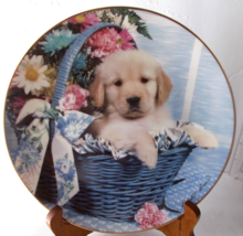 1995 A Golden Bouquet Hamilton Collection Puppy Portraits 8 1/4&quot; Plate - £13.94 GBP