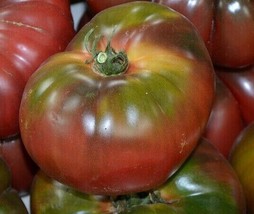 US Seller Black Krim Tomato Seeds 50+ Indeterminate Garden Vegetables Sauce - £6.34 GBP