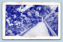 Flower House Conservatory Lincoln Park Chicago Illinois IL 1910 DB Postcard F19 - £2.33 GBP