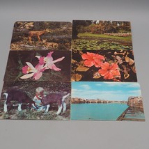 Vintage Dextone Kodachrome non Utilisé Carte Postale Lot De 6 - $44.17