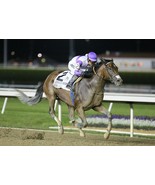 IRAP 8X10 PHOTO HORSE RACING PICTURE JOCKEY - $4.94