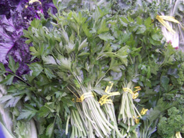 Parsley Herb And Garnish 940 Seeds - £3.93 GBP