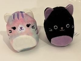 Bundle of 2 Mini Squishmallows Autumn Cat, Eloise The Purple Tie Dye Cat - £35.88 GBP