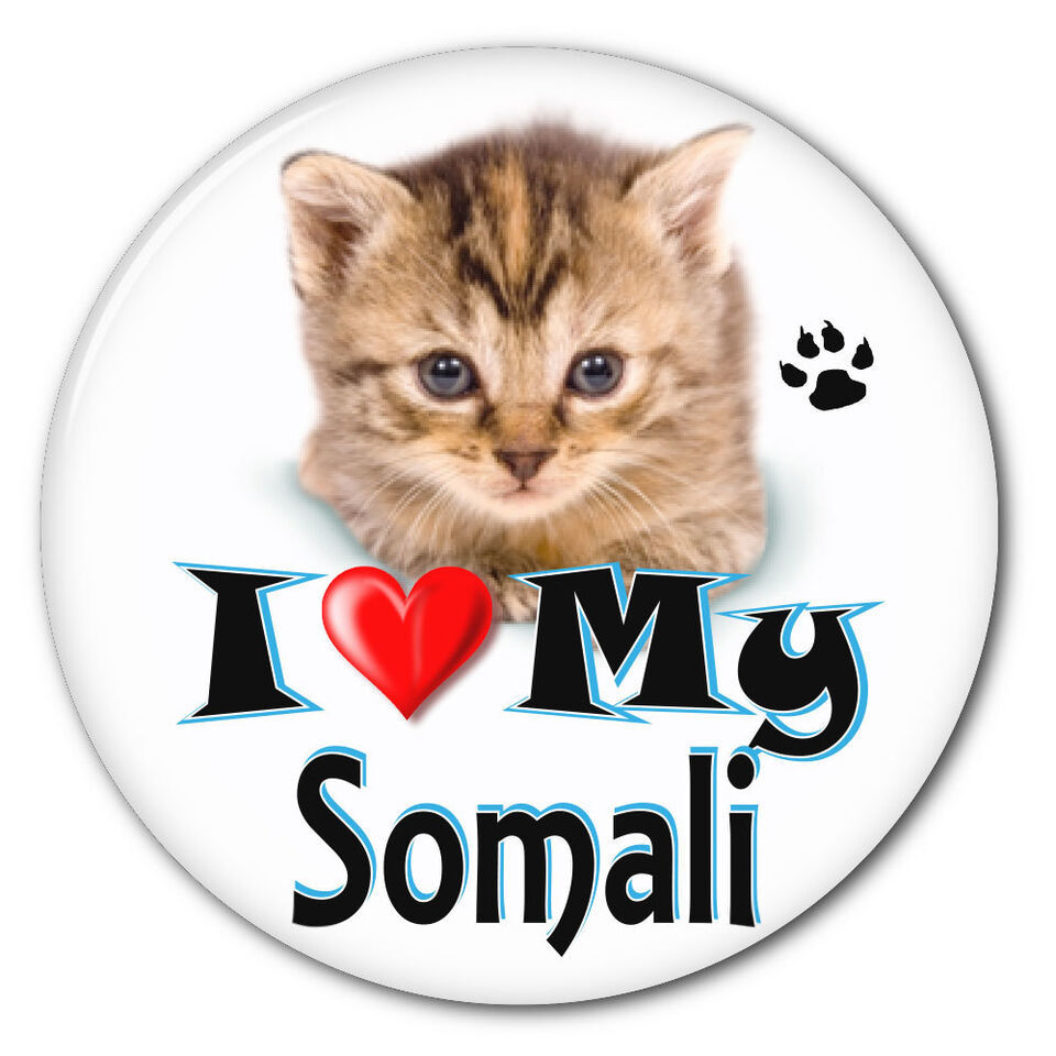 I LOVE MY SOMALI KITTEN CAT 3&quot; SAFETY PIN BACK BUTTON - $6.29