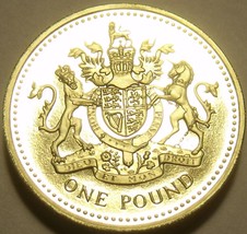Gem Cameo Proof Great Britain 1993 Pound~An Ornament and a Safeguard~Fre... - $15.17
