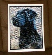 Amazing Chocolate Black Labrador Retriever Dog Montage - £9.05 GBP