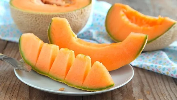 New Fresh 100 Hales Best Jumbo Cantaloupe Seeds Large - £6.67 GBP