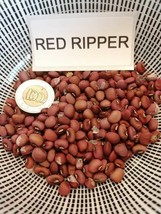 Red Ripper Cowpea - Black-eyed-pea - Bean - 10+ seeds - Heirloom Seeds! ... - $99.45 MXN