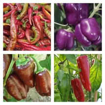 Sweet Pepper Collection Seeds Fast Shipping - $20.19