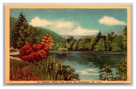 View of Loyadock Trout Stream Williamsport Pennsylvania PA WB Postcard N24 - £2.28 GBP