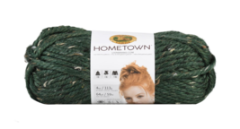 Lion Brand Hometown Yarn, Riverdale Tweed, 5 Oz. - £5.94 GBP