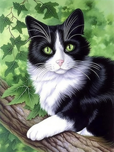 5D Diamond Painting Kits for Adults Cat Art Animal, Paint by Numbers \12X16 Inch - £10.59 GBP