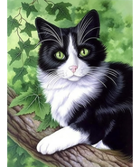 5D Diamond Painting Kits for Adults Cat Art Animal, Paint by Numbers \12... - £10.84 GBP