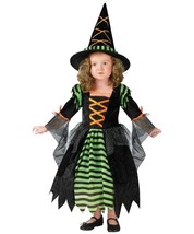 Miss Witch Toddler Costume -  24 Months - 2t -  Fun World - Green/Black ... - £23.93 GBP