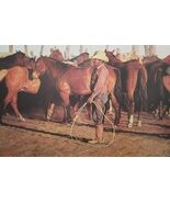 Looking for The Old Piebald Mare by Gordon Snidow Limited Edition Print - $122.50