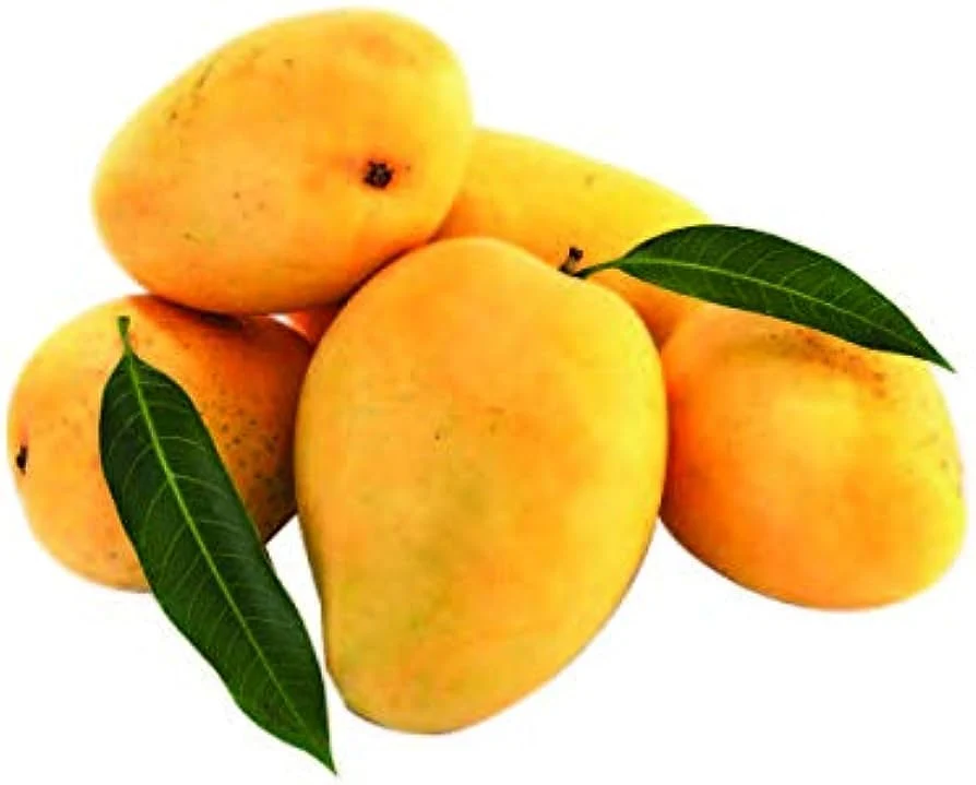 Item image 6