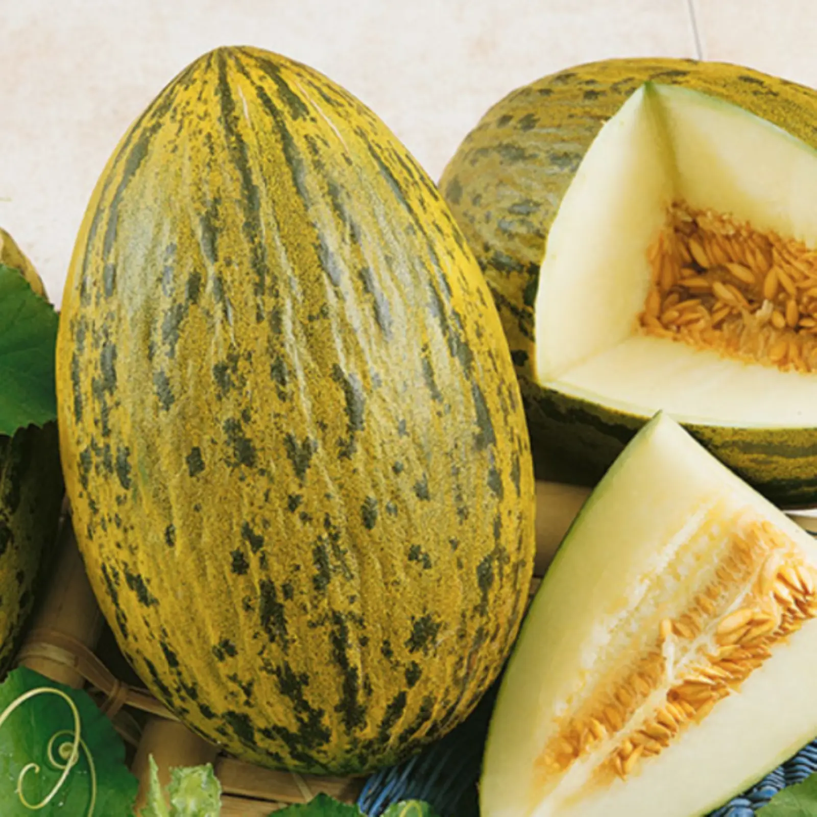 10 Piel De Sapo melon seeds  Sweet Juicy Melon USA  - £9.36 GBP