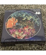 Amazing Circular/Round 1000 Piece Jigsaw Puzzle Robert Frederick Factory... - $198.39 MXN