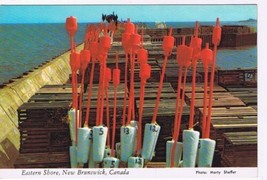 New Brunswick Postcard Eastern Shore Lobster Traps &amp; Buoy Markers - £2.32 GBP