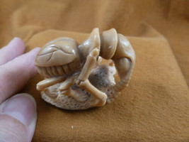 (tb-ins-3-4) tan Praying Mantis Tagua NUT figurine Bali detailed insect ... - $38.56