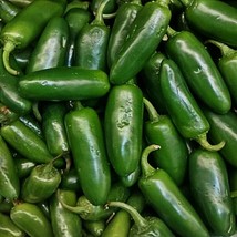 New Fresh Seeds Jalapeno M Hot Pepper Seeds Vegetable Seeds - $10.36