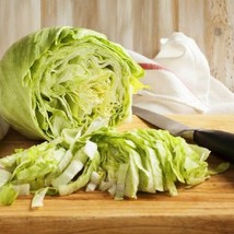 USA Seller Iceberg Lettuce 500 Seeds Lactuca Sativa - £6.94 GBP