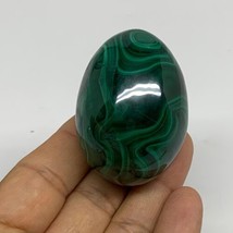 137.7g, 2&quot;x1.5&quot;, Natural Solid Malachite Egg Polished Gemstone @Congo, B32773 - £87.76 GBP