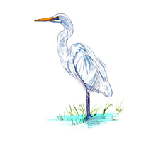 Coastal Great White Egret Heron Bird Watching Auto Boat Rv Window Decal ... - £5.45 GBP+